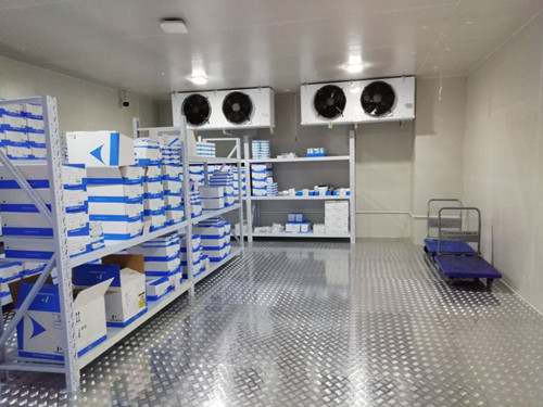 建一個(gè)冷庫(kù)需要多少錢(qián)一平方？