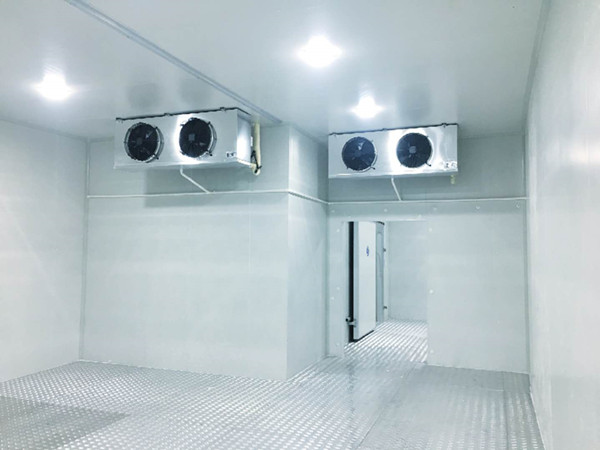 西葫蘆冷庫建造及貯藏技術