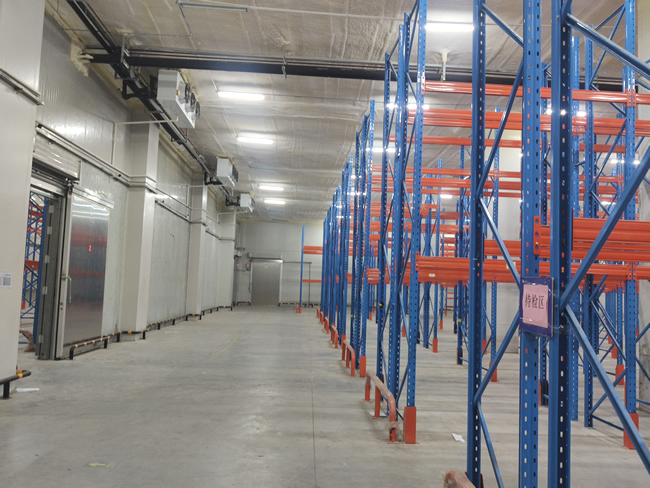 50噸水果保鮮冷庫(kù)造價(jià)大概多少錢